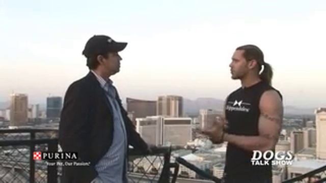 Purina's "Dogs Talk Show" Interviews Jace Crispin of Chippendales® смотреть онлайн