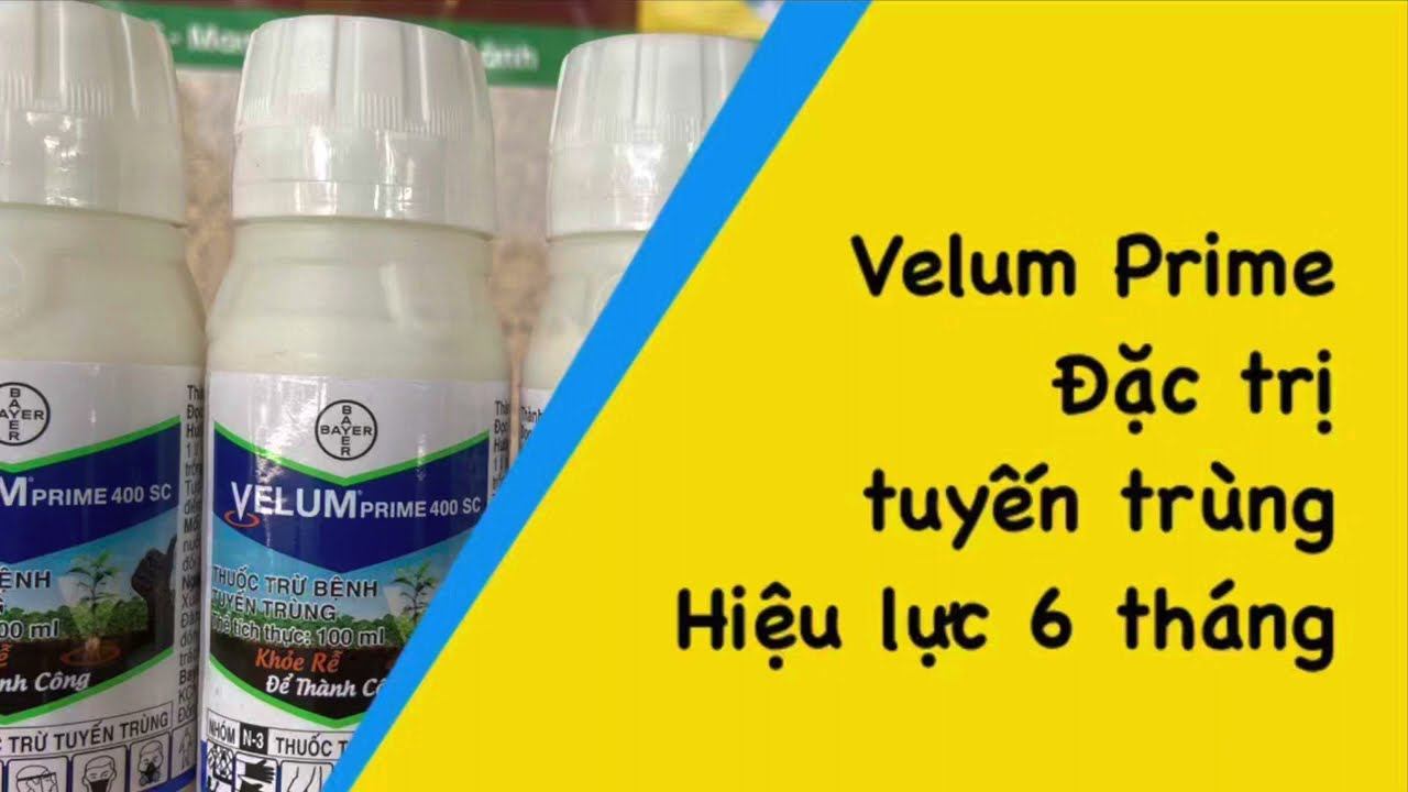 Velum Prime 400SC. Đặc trị tuyến trùng hiệu quả. Hiệu lực 6tháng смотреть онлайн