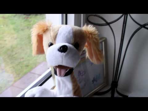 Test sigma 30 1.4 DC HSM смотреть онлайн