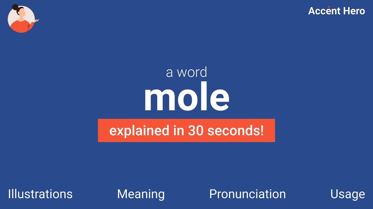 MOLE - Meaning and Pronunciation смотреть онлайн