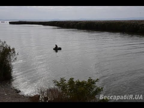 Экология Придунавья и злополучный мост смотреть онлайн