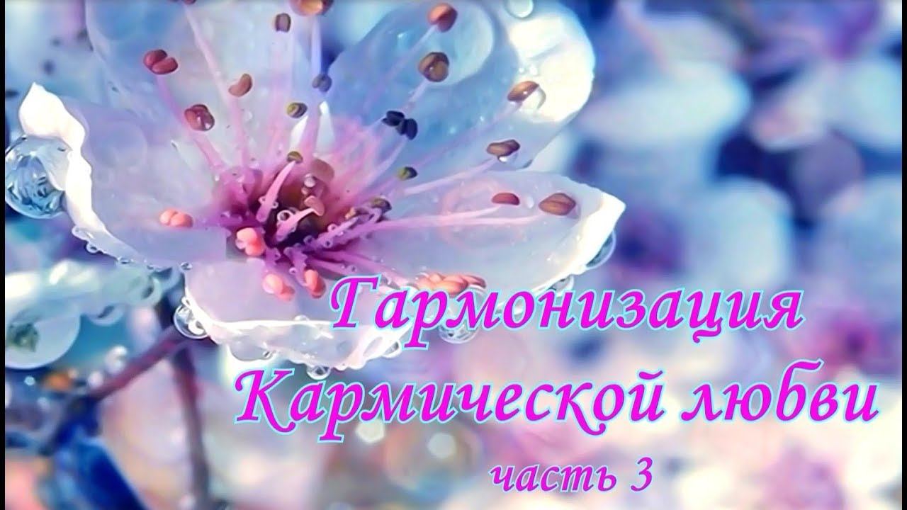 Гармонизация кармической любви часть3 смотреть онлайн
