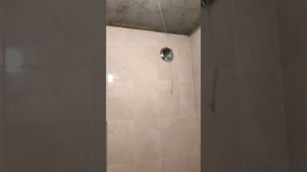 -4000573386589391249