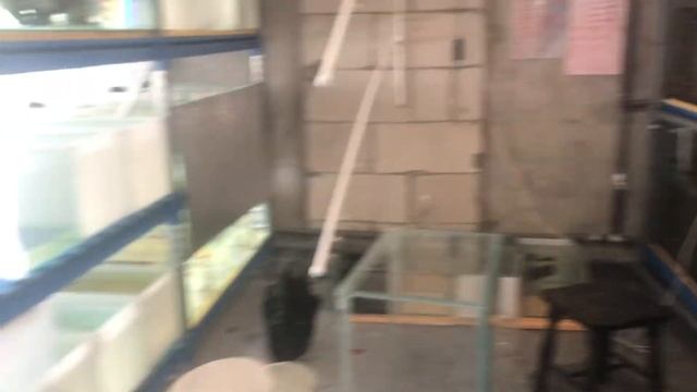 Начало переезда фермы аквариумных рыб на новое место. смотреть онлайн