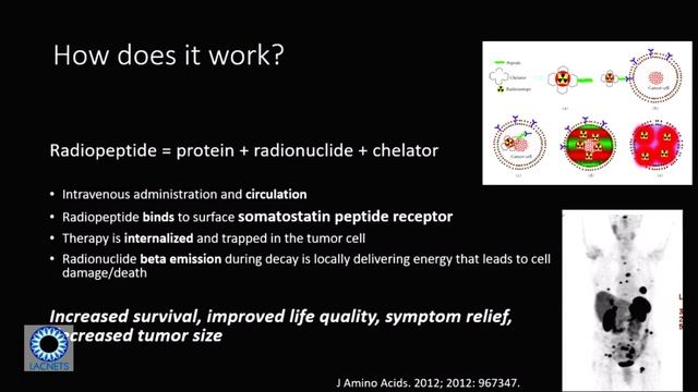 LACNETS - "Focus on NET Research" with Dr. Hendifar, Dr. Thomson & Dr. Gong (Cedars-Sinai) смотреть онлайн