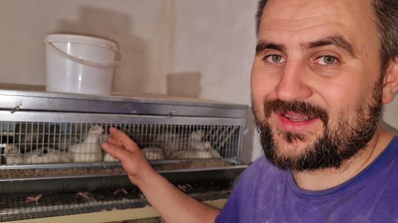 сон мне уже даже не снится)) смотреть онлайн
