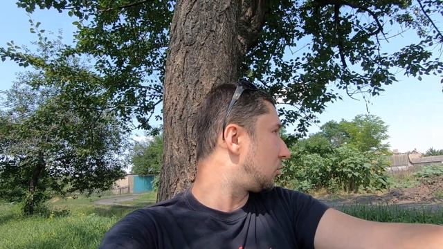 Меня покусали пчёлы. Видео с домашнего семейного архива