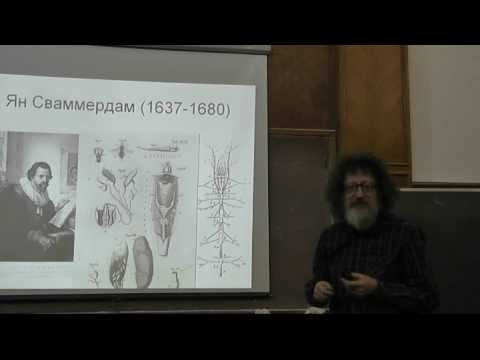05 Как клетки становятся разными смотреть онлайн