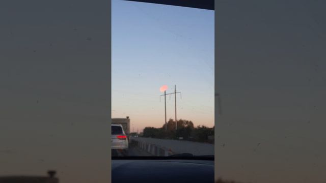 19 сентября 2024 г.