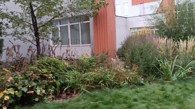 дорога на танцы.