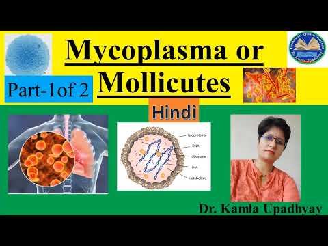 #Mycoplasma Part1 # Morphology #Micoplasma pneumoniae #Pneumonia #Mycoplasma pathogenesis смотреть онлайн