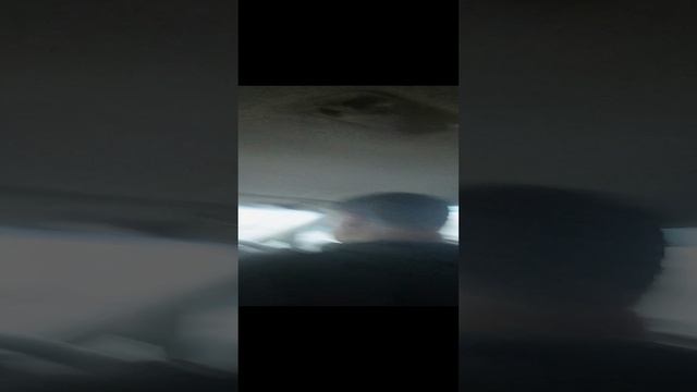 поездка на дачу часть 1 смотреть онлайн