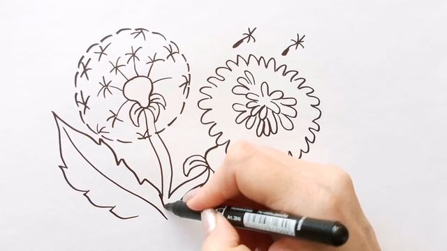 Как нарисовать ОДУВАНЧИКИ / раскраска для детей / Нарисуй Ка смотреть онлайн