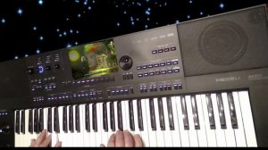 C.C.Catch_Heaven and hell_Medeli akx10 synthesizer cover Am version