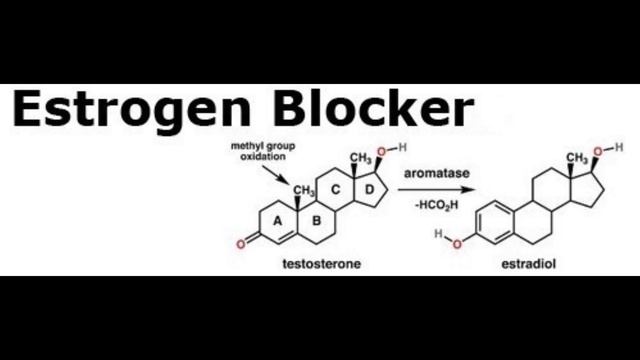 - ESTROGEN REDUCER - BinauralIsochronic Aromatase Inhibitor Higher Testosterone Lower Estrogen