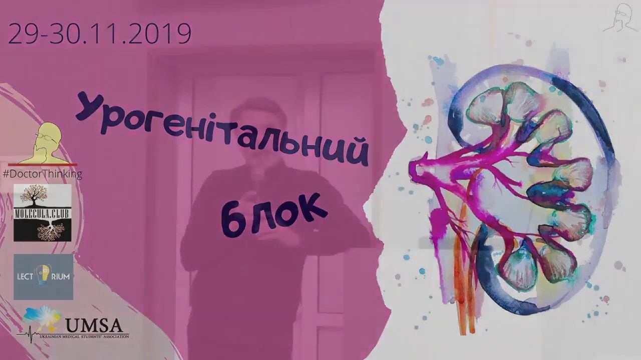 Великі ниркові синдроми Гостра та хронічна ниркова недостатність Нефротичний синдром смотреть онлайн