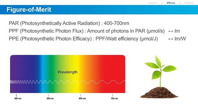 Samsung Virtual Lighting Exhibition: Horticulture Lighting Solutions смотреть онлайн