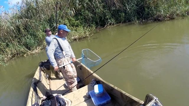 Сазанчик на Гандуринском банке. смотреть онлайн