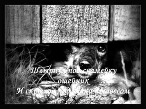 У собак лишь один недостаток - они верят людям смотреть онлайн