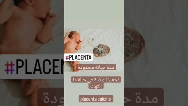 #placenta 🤰 смотреть онлайн