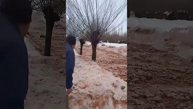 СЕЛИ КАЛОН ДАР ШИРИНЧАШМА смотреть онлайн