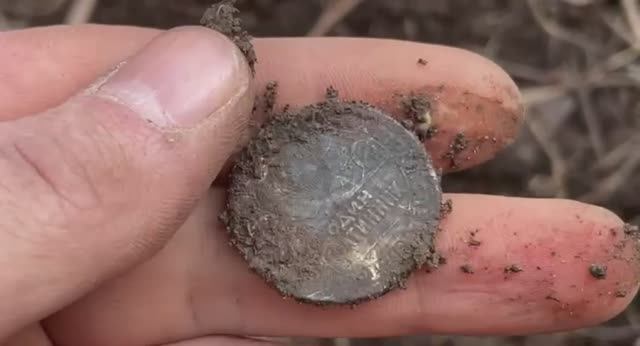 Нашли СЕРЕБРЯНЫЙ ПОЛТИННИК!!!Семейный коп!!! смотреть онлайн