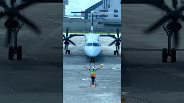 8.mp4 смотреть онлайн