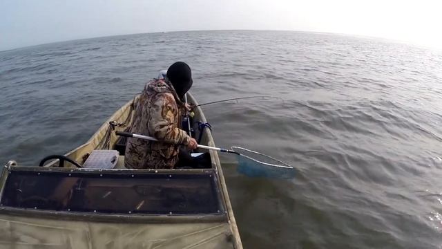 Бешенный клев жереха. База "Лебедь" Гандуринский. смотреть онлайн