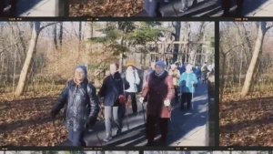 Приглашаем на ПРОГУЛКУ!