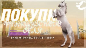 ПОКУПАЕМ ФРАНЦУЗСКОГО СЕЛЯ | Star Stable Online