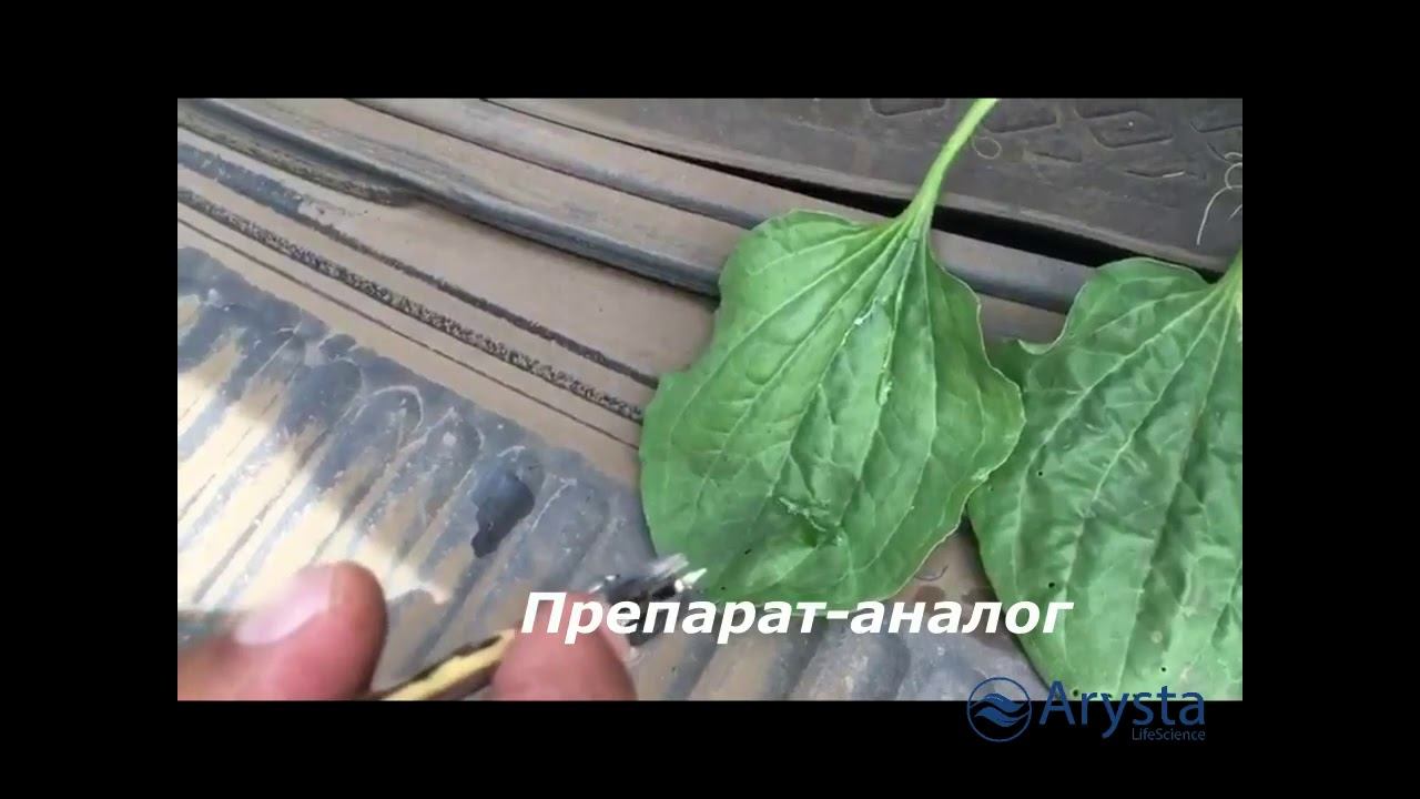 Супер-смачиватель Сильвет 408 смотреть онлайн