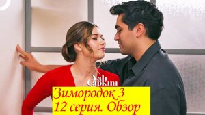 Зимородок 3. Серия 12. Обзор пересказ