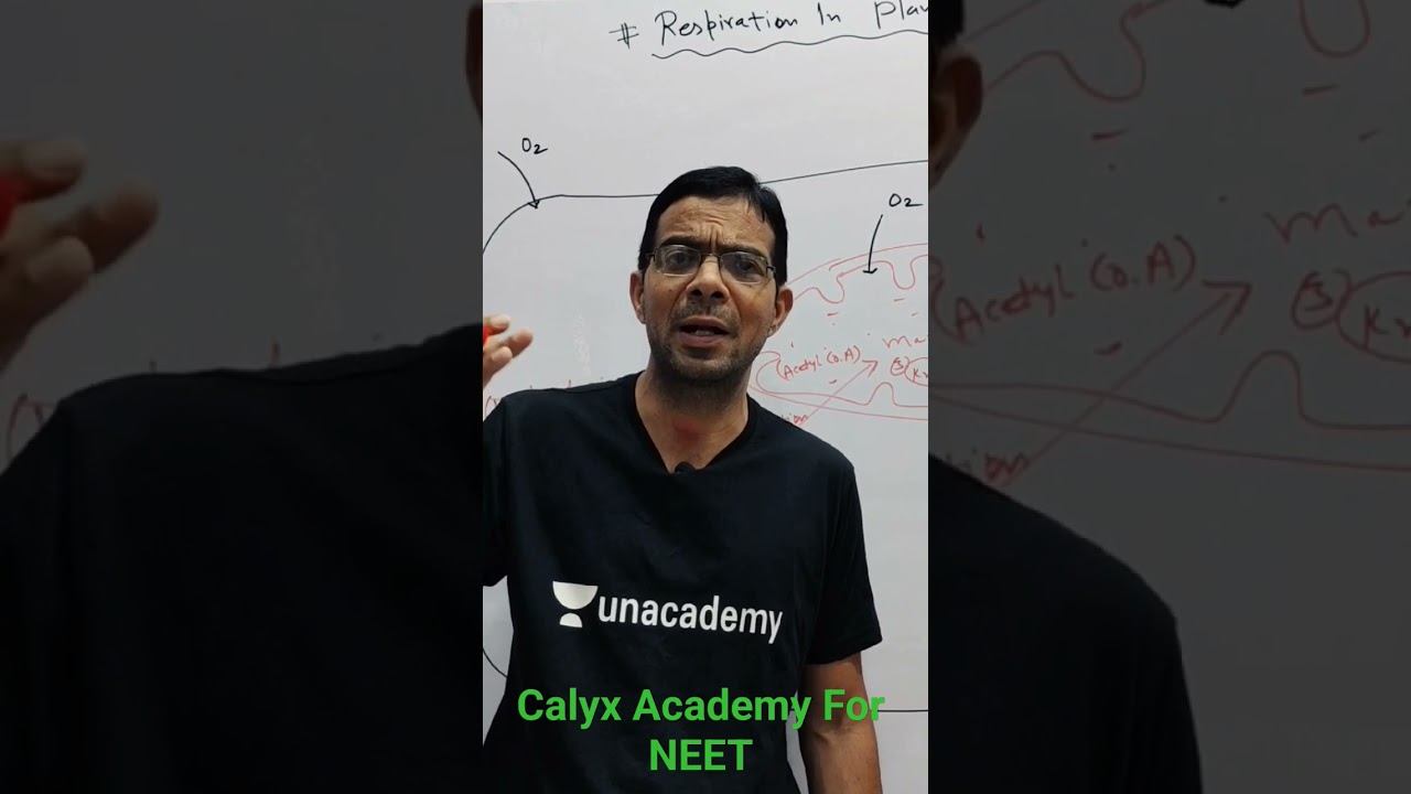 Cellular level respiration смотреть онлайн