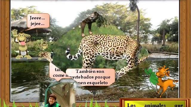 ZOO FAUNA SUDAMERICANA en Santa Cruz de la Sierra, Bolivia смотреть онлайн