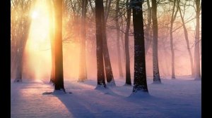 Радуйся,Невесто Неневестная Дивеево хор