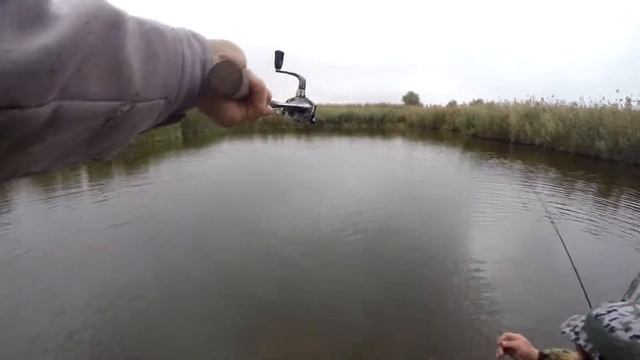 л Гандуринский Щучий жор. смотреть онлайн