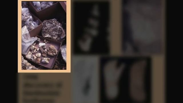 CARTA: Early Hominids: Ronald Clarke - "Little Foot", Big Find - A Skeleton of Australopithecus смотреть онлайн