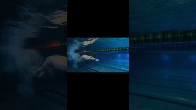 Правильный прыжок в воду 🔥🔥 #sports #swimming #плавание #спорт #тренировка смотреть онлайн