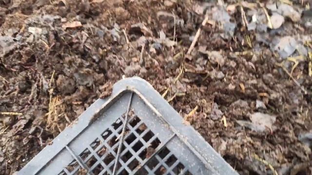 13.01.22🐍🐍🐍🐍 СӨӨЛЖАНДАРДЫ ЖАҢЫ МЕСТАГА КОТОРДУМ 👆 смотреть онлайн