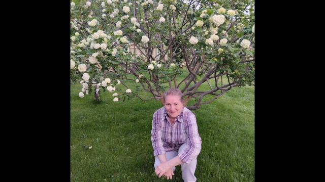 28.05.2023 Едем в гости в Акшуат на день рождения Миланы смотреть онлайн