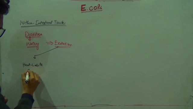 Escherichia coli (E.coli) || Pathogenesis, Transmission and Diseases caused by E coli смотреть онлайн