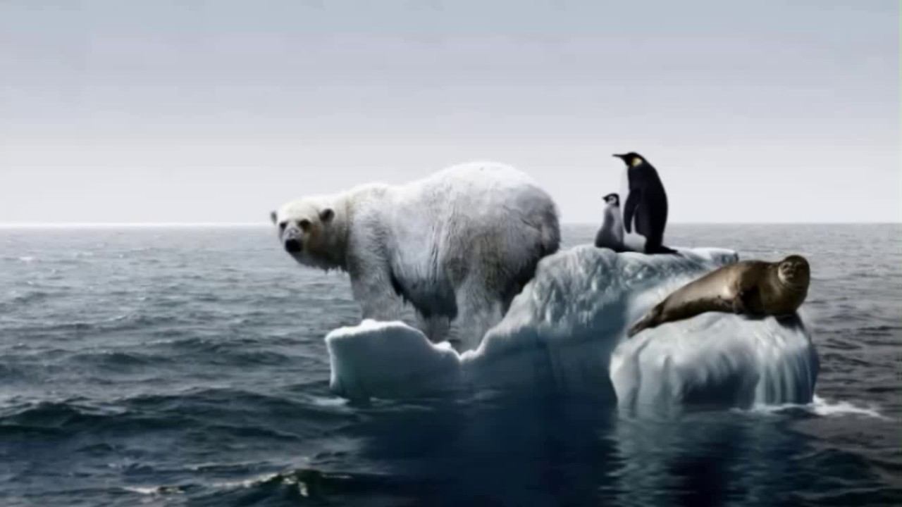 Environmental problems смотреть онлайн