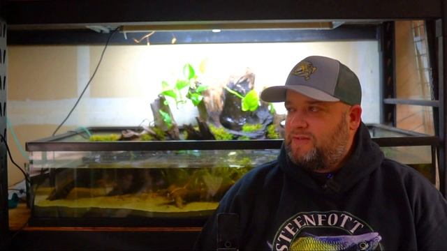 The WORST Thermometer for your Aquarium - DO NOT BUY смотреть онлайн