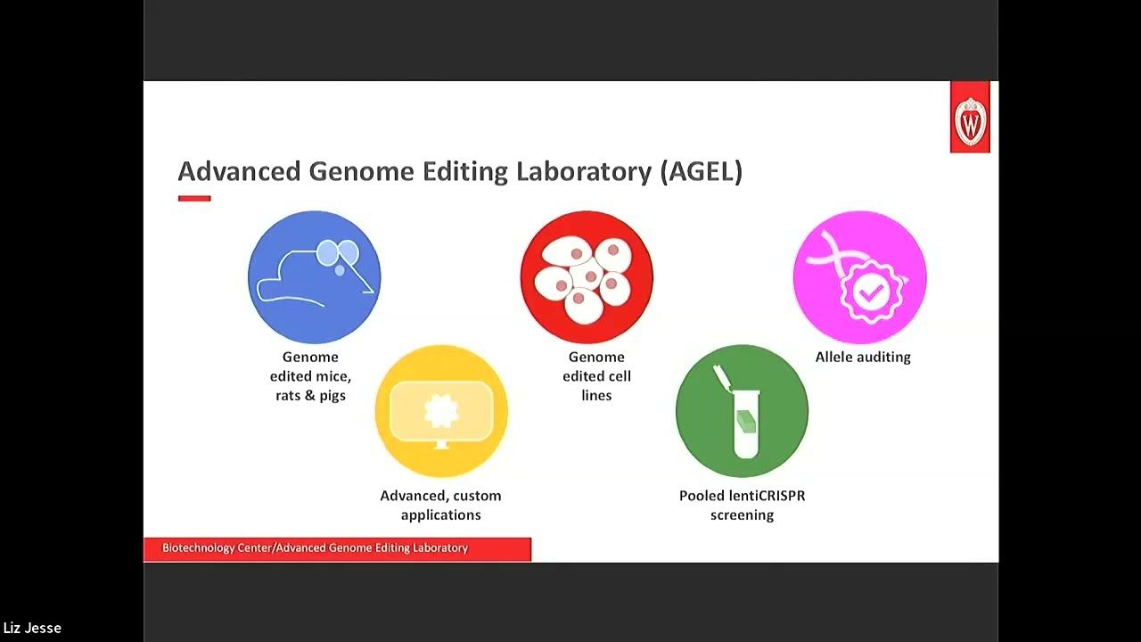 Using dPCR to confirm genome edited models смотреть онлайн
