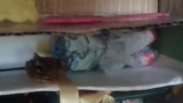 Дом кукл смотреть онлайн