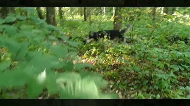 Семиозерка 28 августа 2021 г. смотреть онлайн