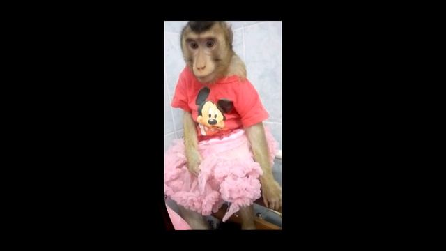 Обезьянка Люся зажигает!