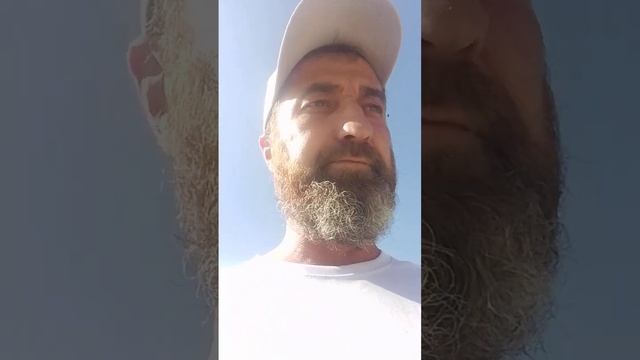 послание народам. присоединяйтесь все кто не равнодушен! ✊✊✊ смотреть онлайн