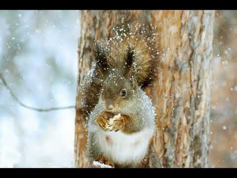 17.02.2021г. Среда. Карта дня. смотреть онлайн