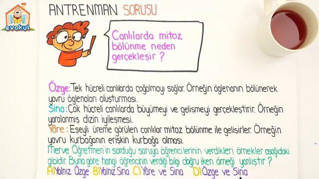 Hücre Bölünmesi: Mitoz | 7. Sınıf Fen #evokul Kampı смотреть онлайн